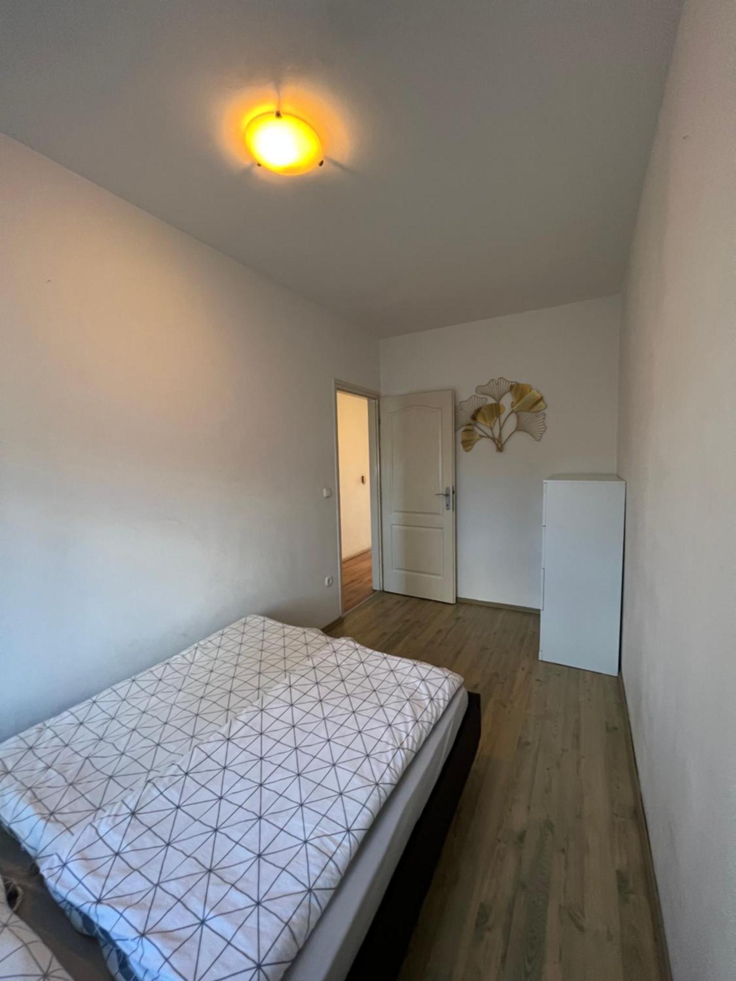 Kristaly Apartman سيغيد المظهر الخارجي الصورة